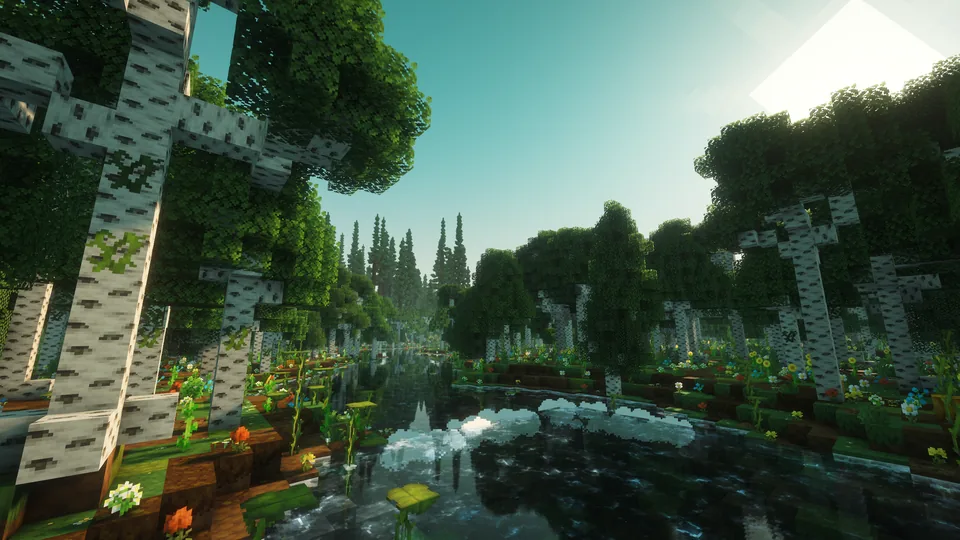 A sunlit river reflecting white birch trunks and a dense green canopy
