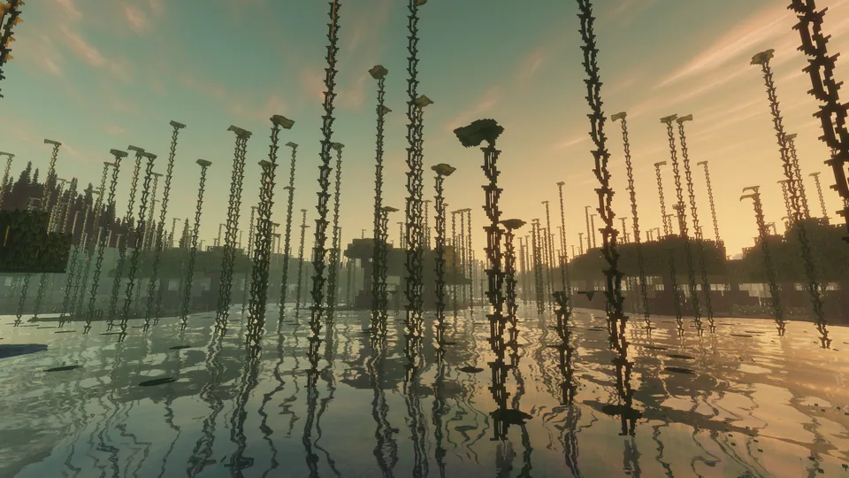 Slender trees and hanging vines reflected in a wide wetland at sunset